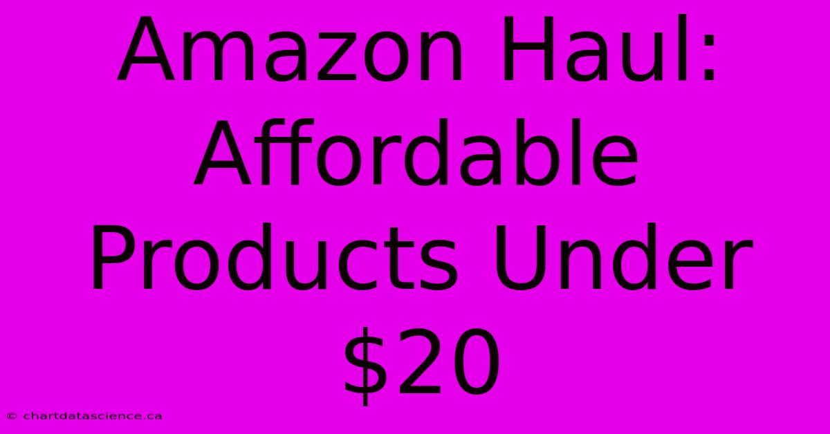 Amazon Haul: Affordable Products Under $20 