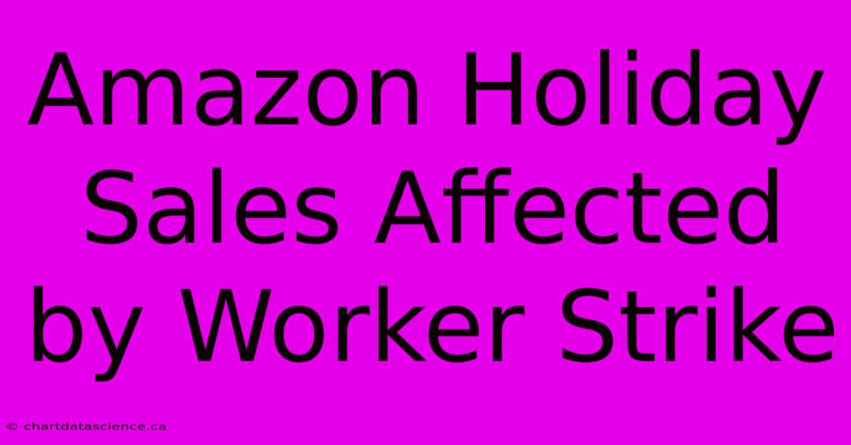 Amazon Holiday Sales Affected By Worker Strike