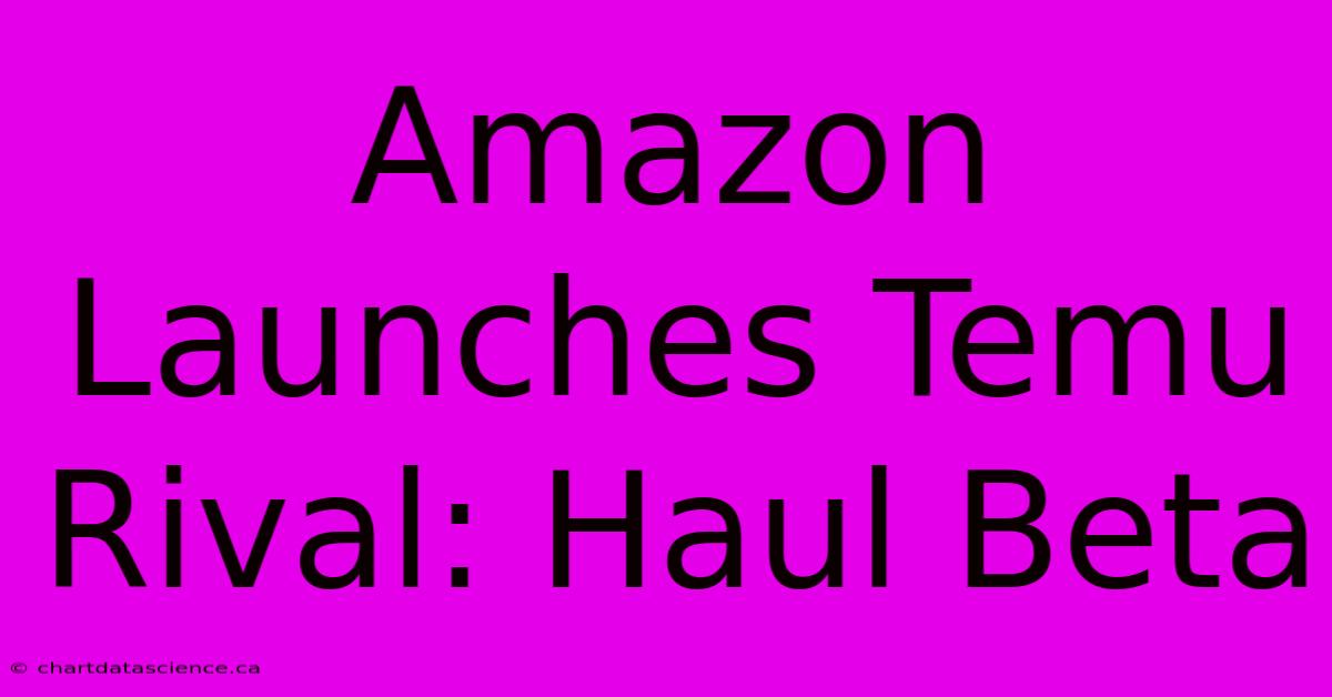 Amazon Launches Temu Rival: Haul Beta