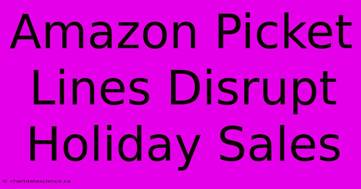 Amazon Picket Lines Disrupt Holiday Sales