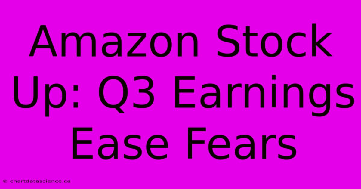 Amazon Stock Up: Q3 Earnings Ease Fears