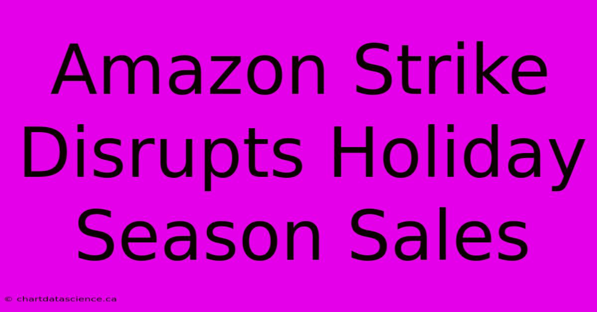 Amazon Strike Disrupts Holiday Season Sales