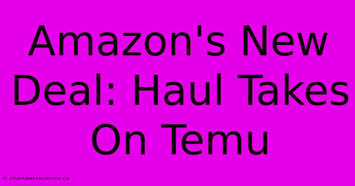 Amazon's New Deal: Haul Takes On Temu