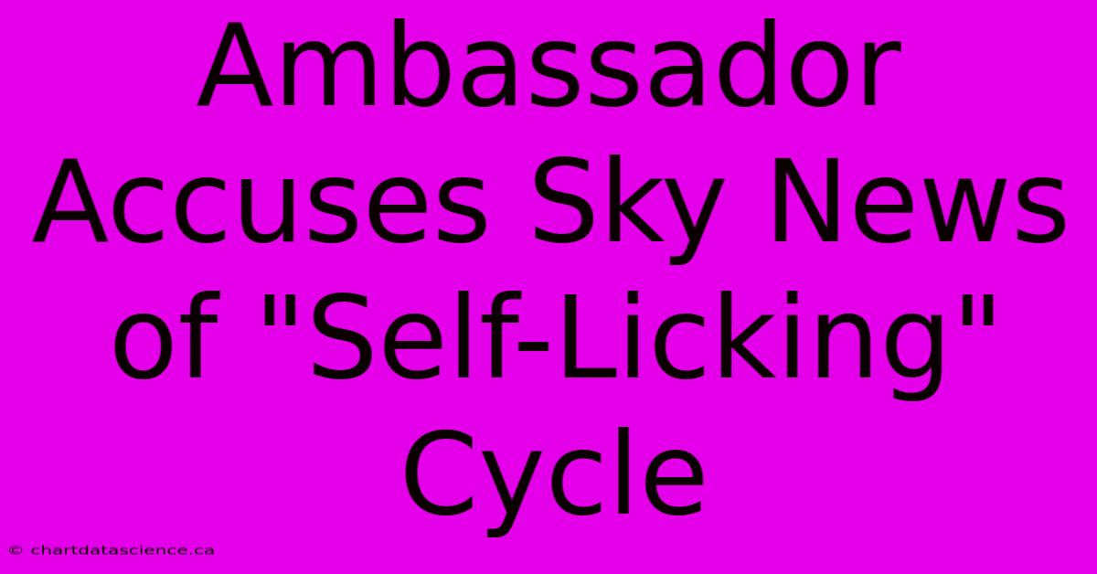 Ambassador Accuses Sky News Of 