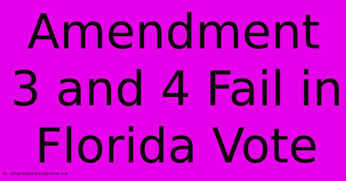 Amendment 3 And 4 Fail In Florida Vote