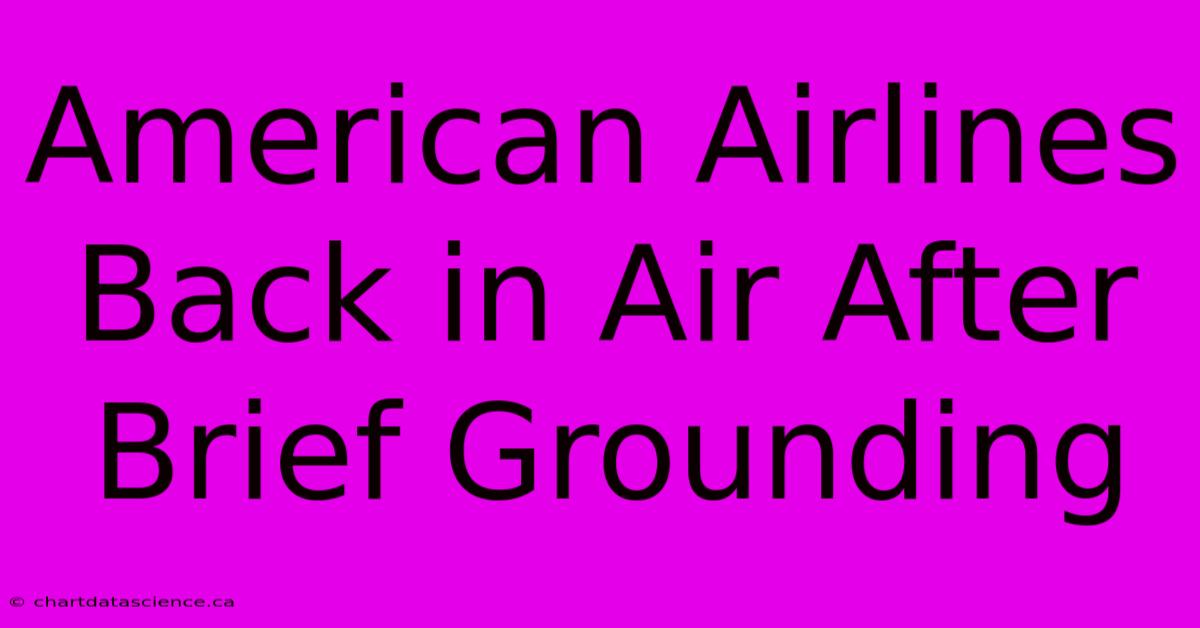 American Airlines Back In Air After Brief Grounding