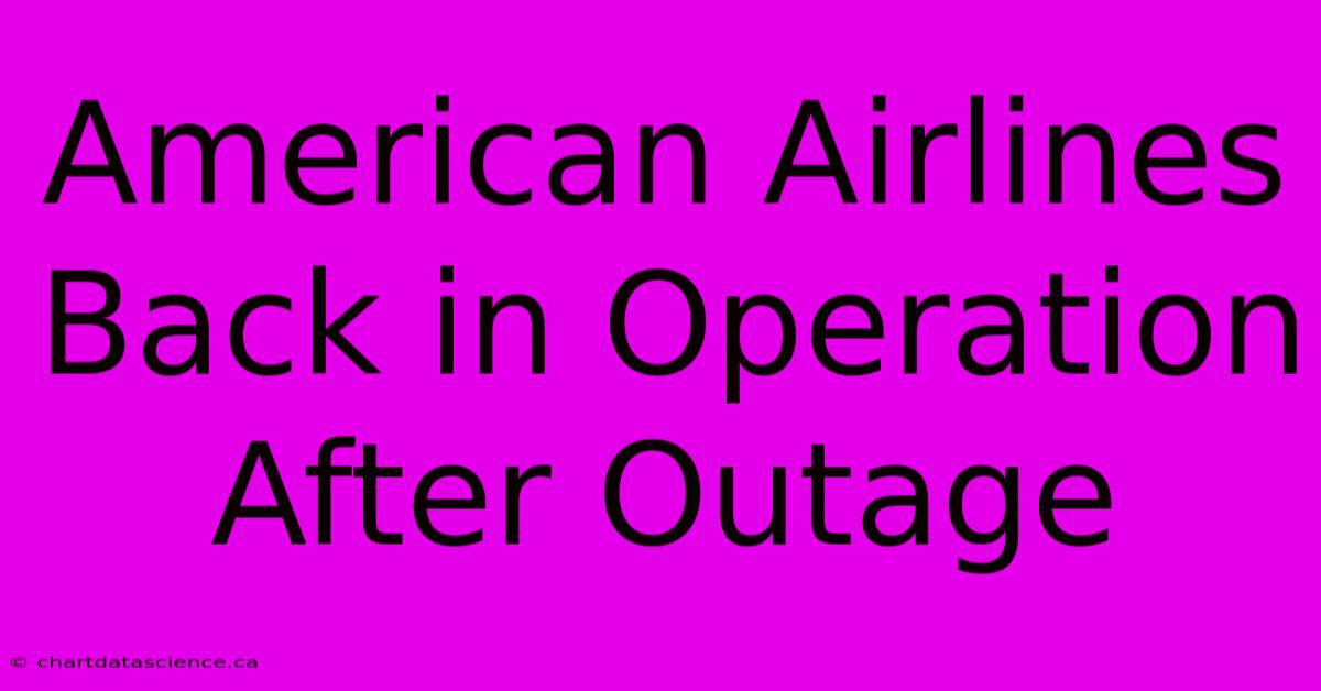 American Airlines Back In Operation After Outage