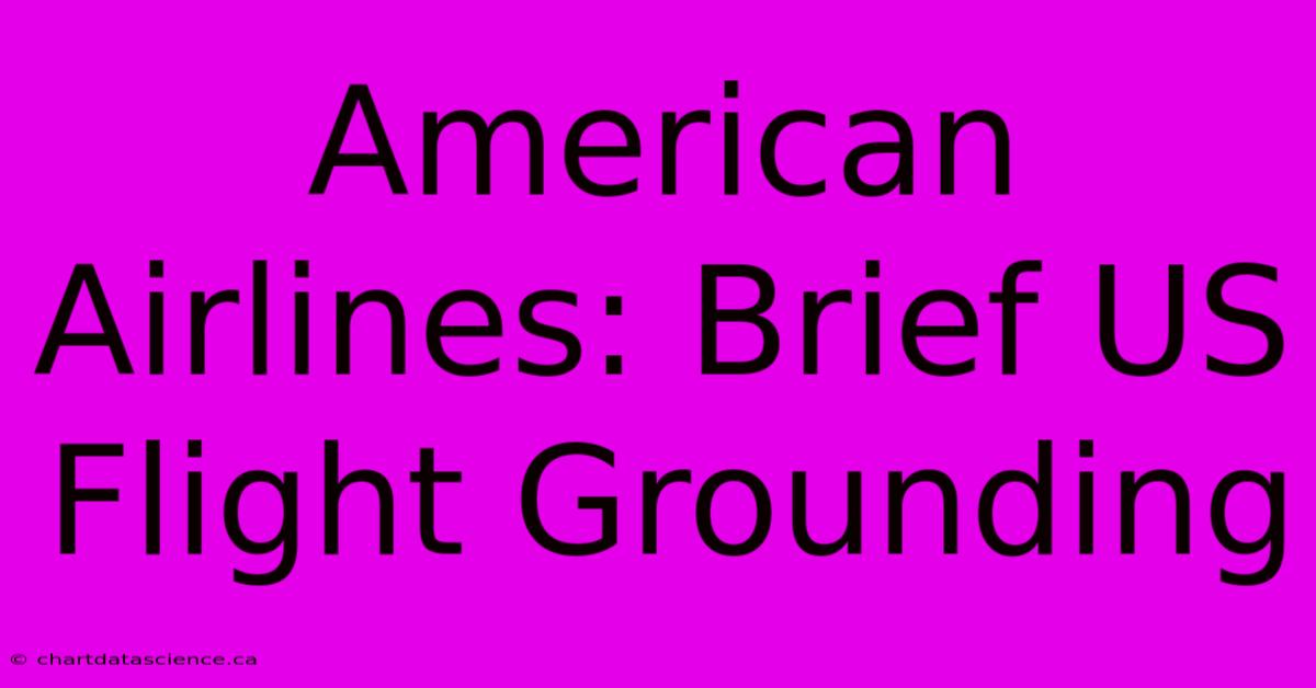 American Airlines: Brief US Flight Grounding