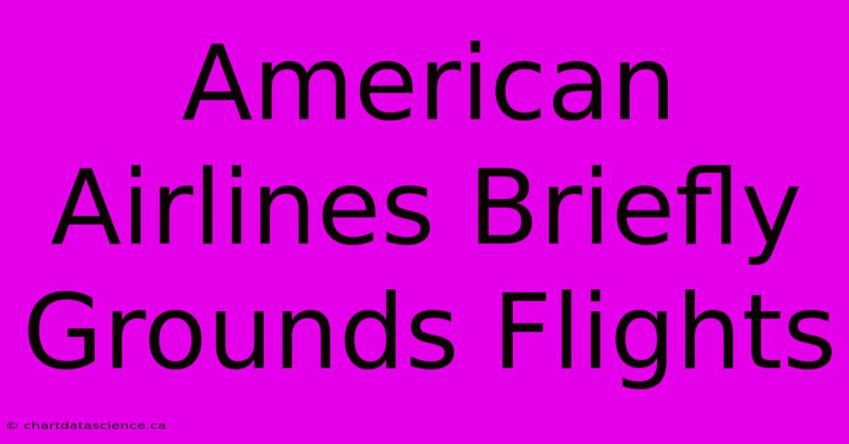 American Airlines Briefly Grounds Flights