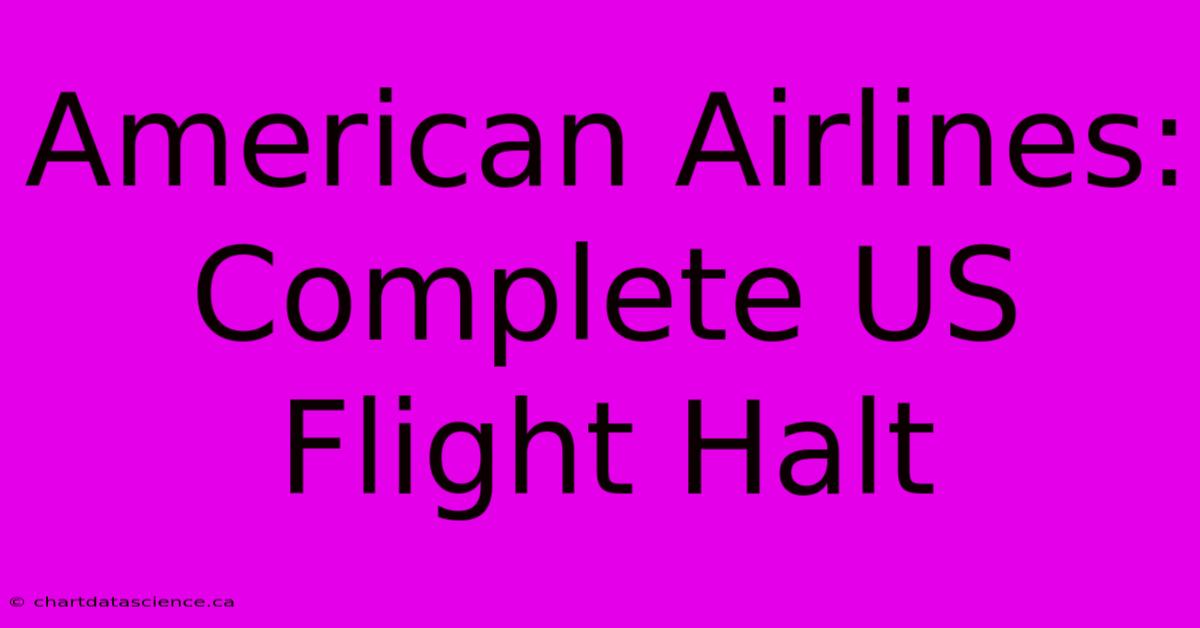 American Airlines: Complete US Flight Halt