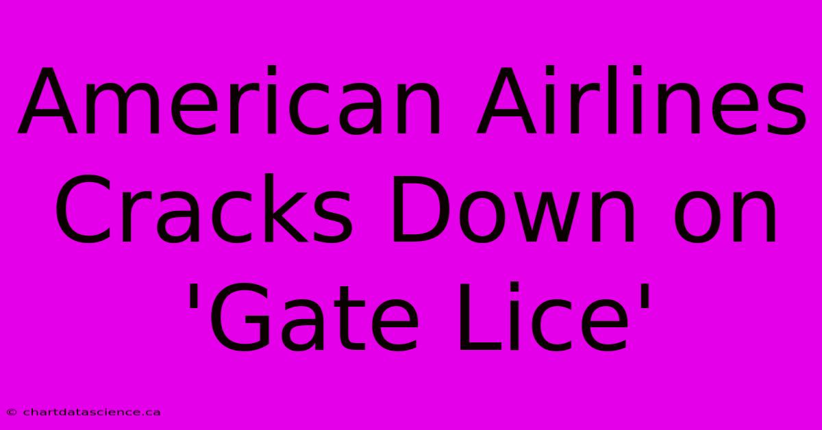 American Airlines Cracks Down On 'Gate Lice'