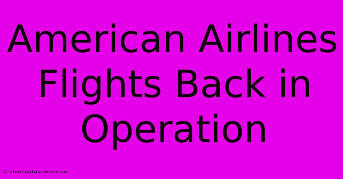 American Airlines Flights Back In Operation