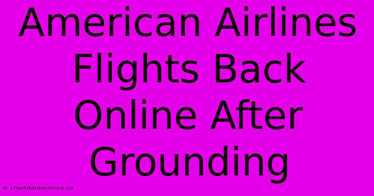 American Airlines Flights Back Online After Grounding