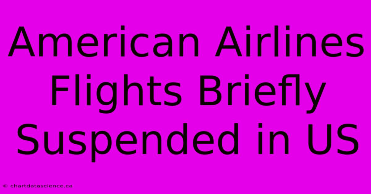 American Airlines Flights Briefly Suspended In US