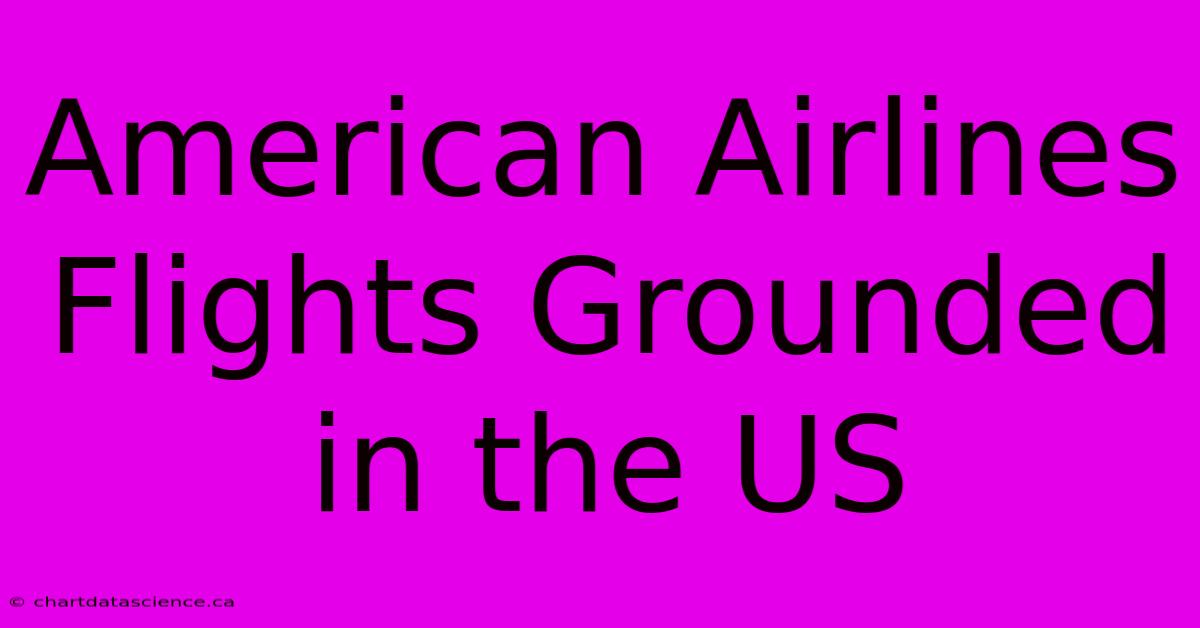 American Airlines Flights Grounded In The US