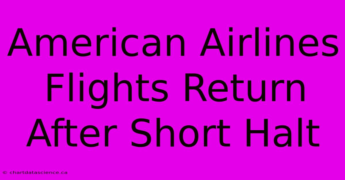 American Airlines Flights Return After Short Halt