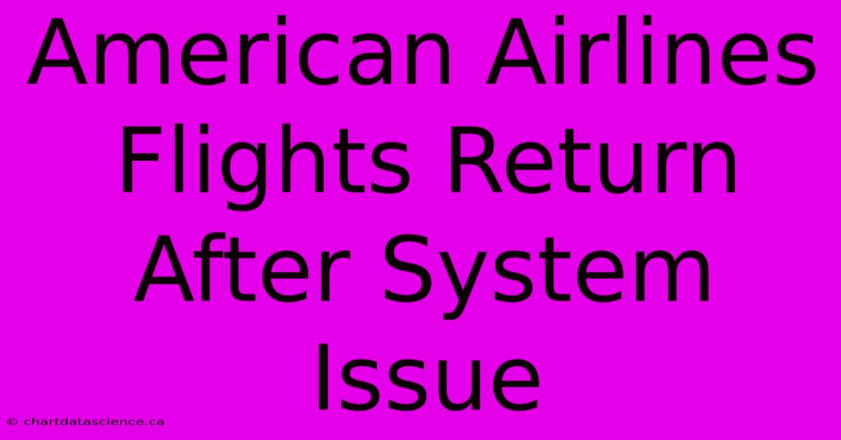 American Airlines Flights Return After System Issue