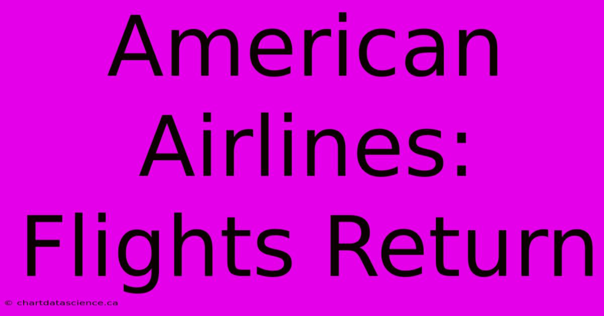 American Airlines: Flights Return