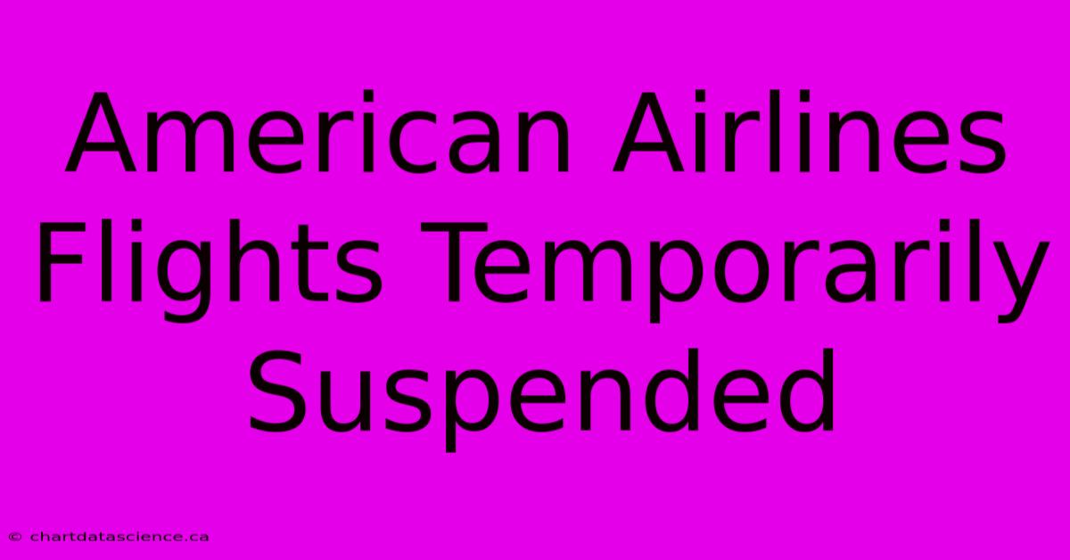 American Airlines Flights Temporarily Suspended