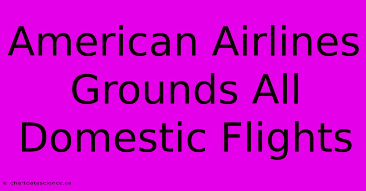 American Airlines Grounds All Domestic Flights