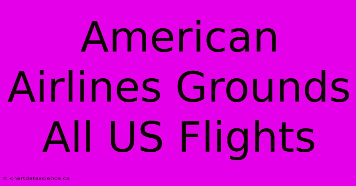 American Airlines Grounds All US Flights