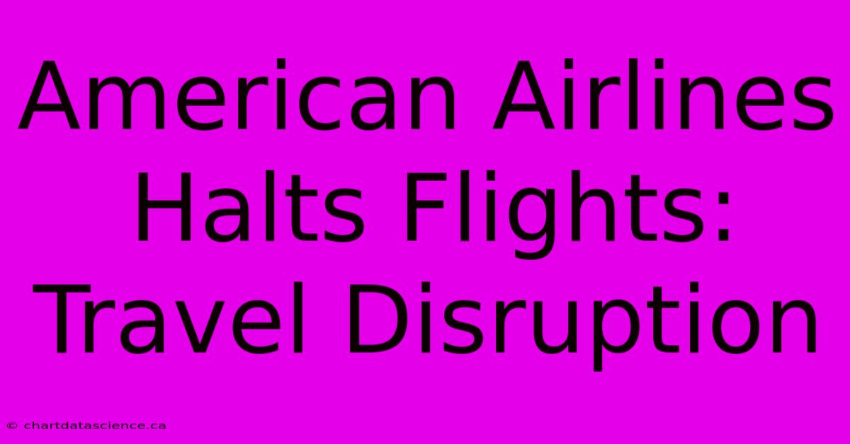 American Airlines Halts Flights: Travel Disruption