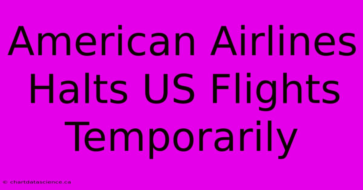 American Airlines Halts US Flights Temporarily