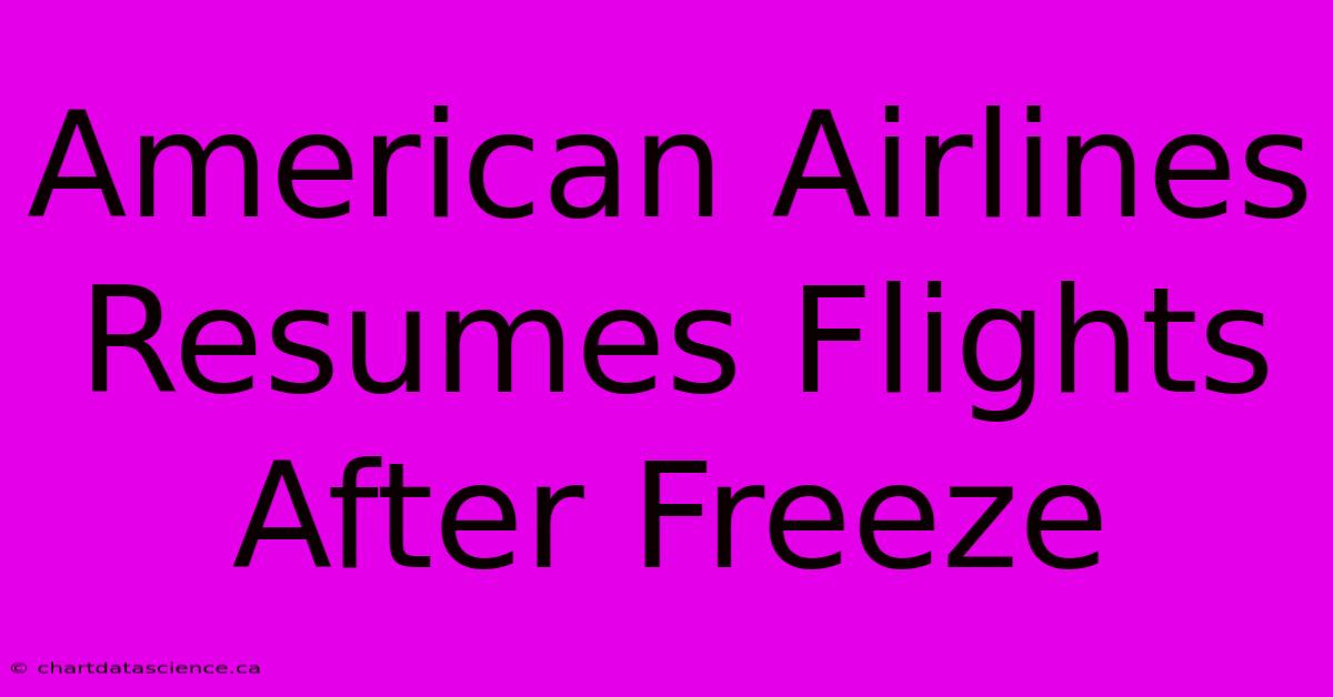 American Airlines Resumes Flights After Freeze