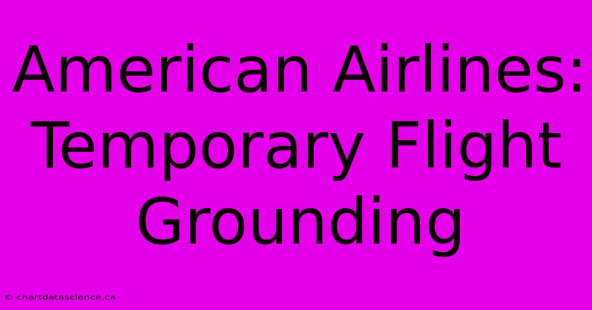 American Airlines: Temporary Flight Grounding