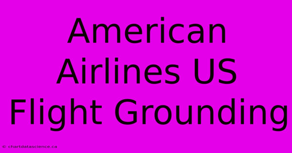 American Airlines US Flight Grounding