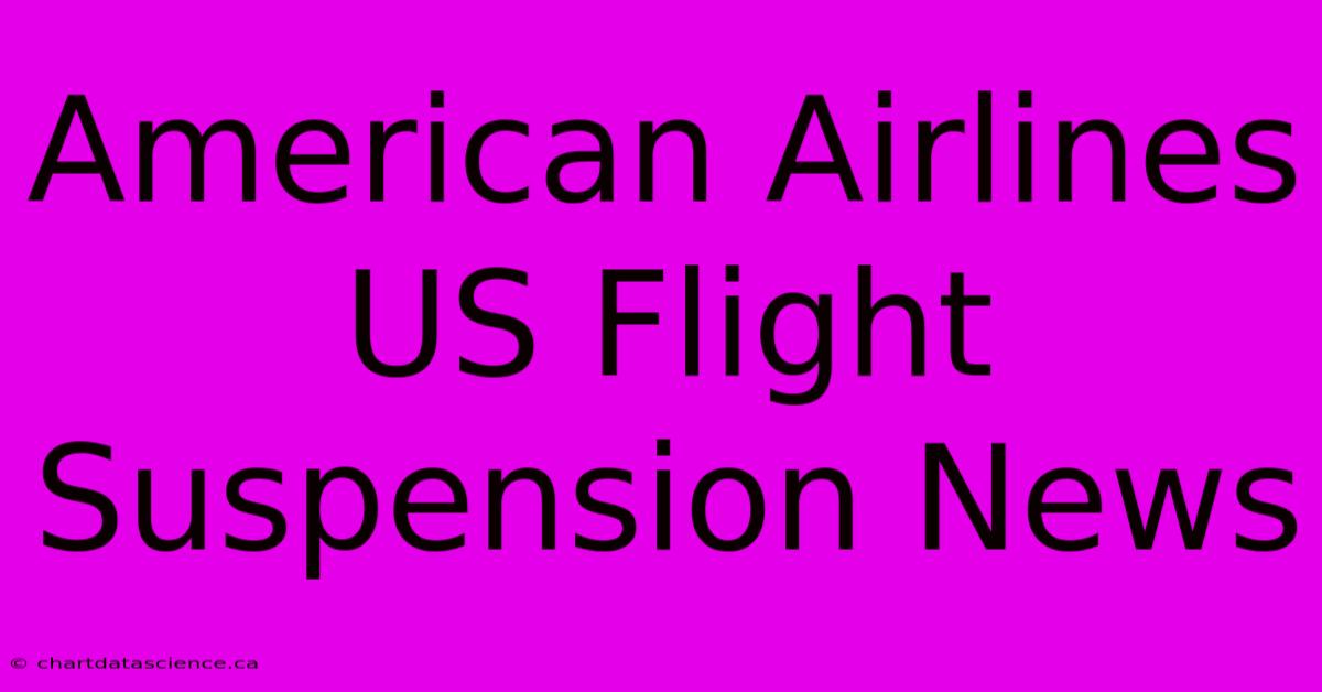 American Airlines US Flight Suspension News