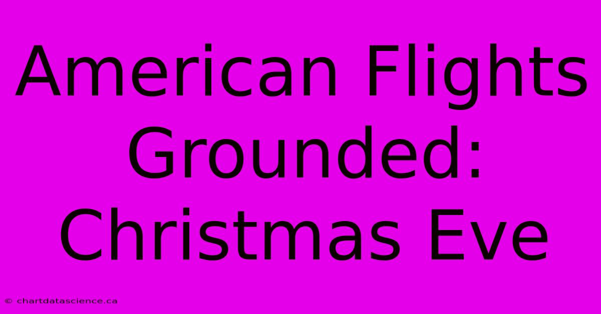 American Flights Grounded: Christmas Eve