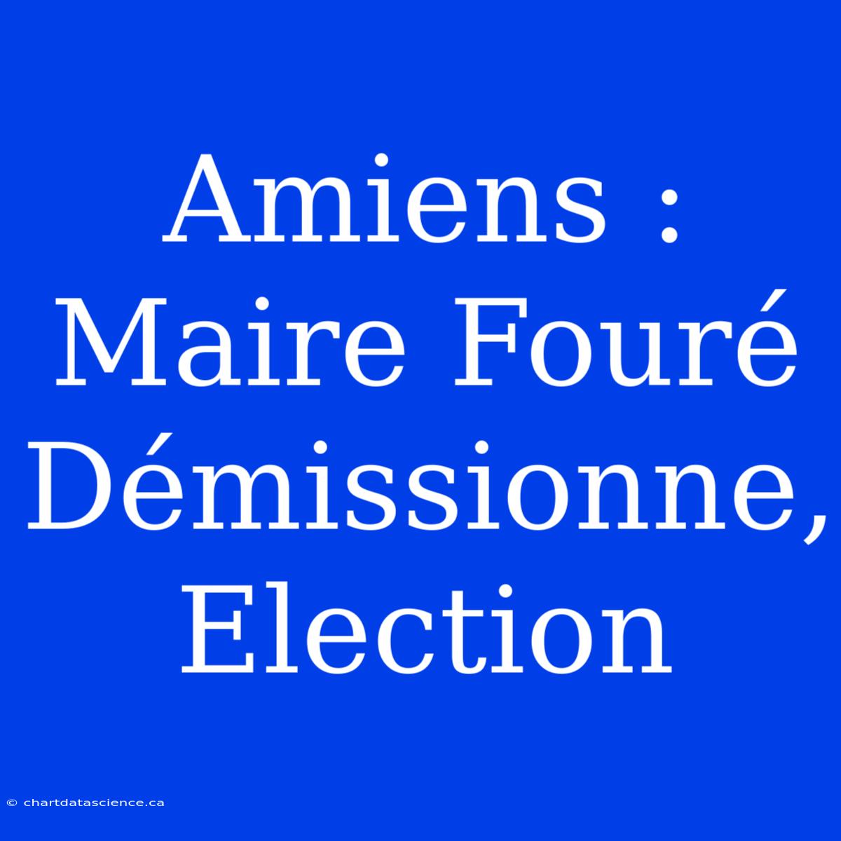 Amiens : Maire Fouré Démissionne, Election