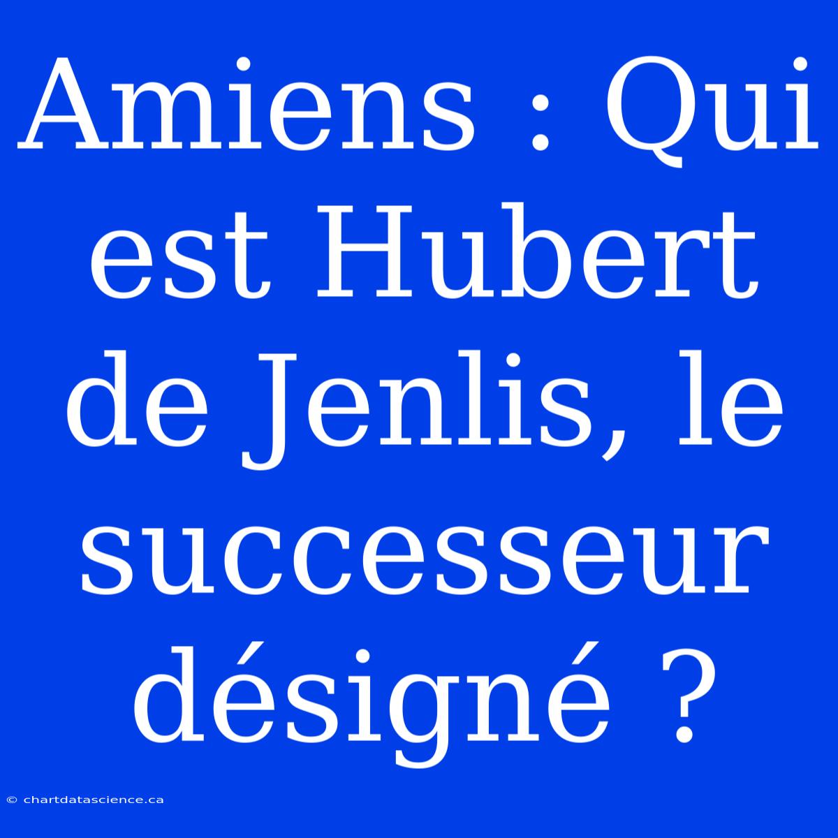 Amiens : Qui Est Hubert De Jenlis, Le Successeur Désigné ?