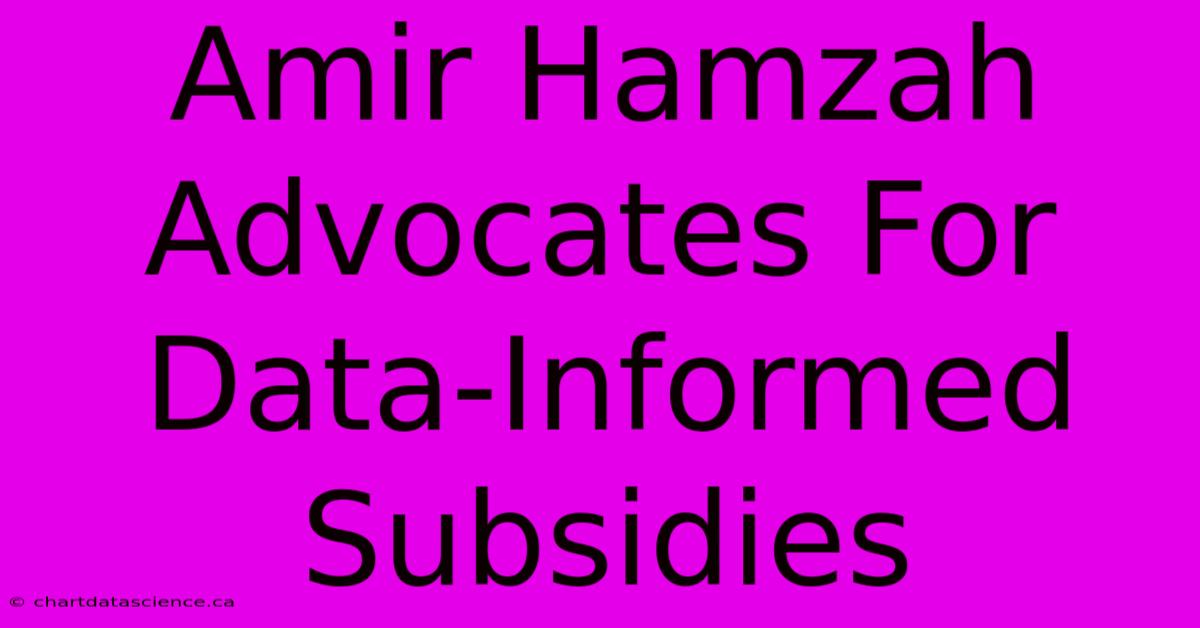 Amir Hamzah Advocates For Data-Informed Subsidies