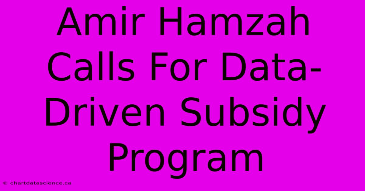 Amir Hamzah Calls For Data-Driven Subsidy Program