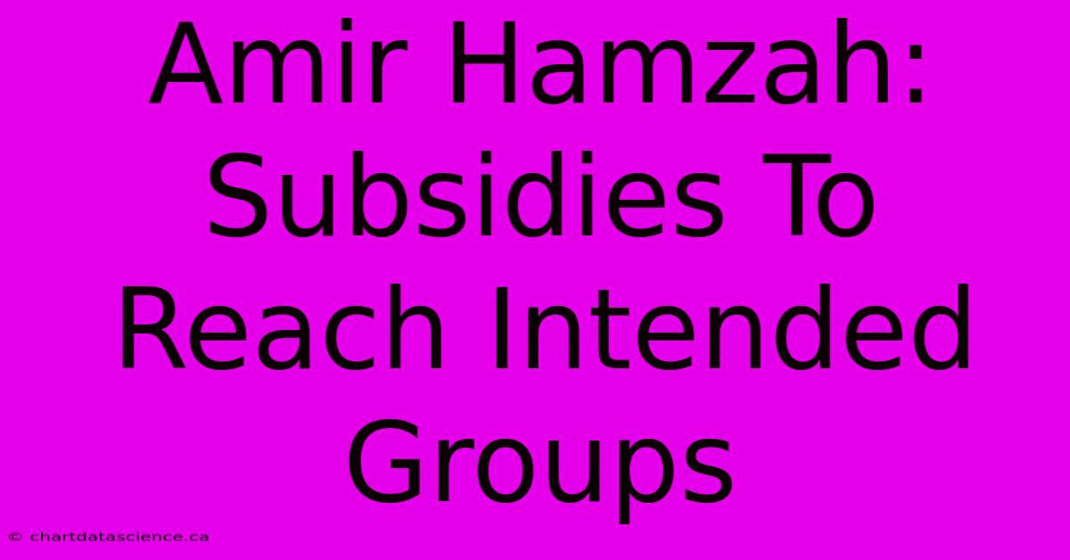 Amir Hamzah: Subsidies To Reach Intended Groups