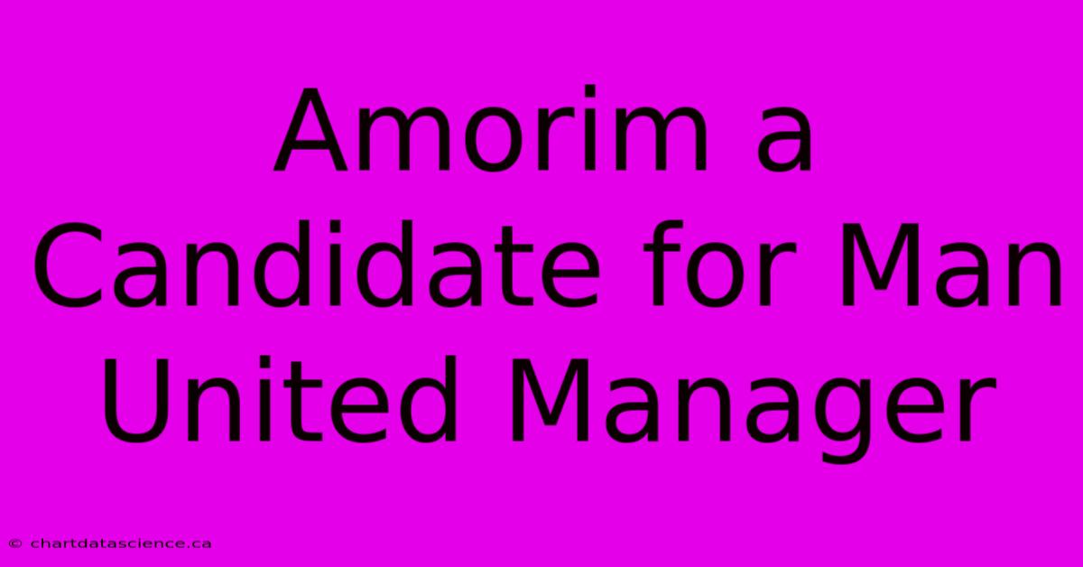 Amorim A Candidate For Man United Manager