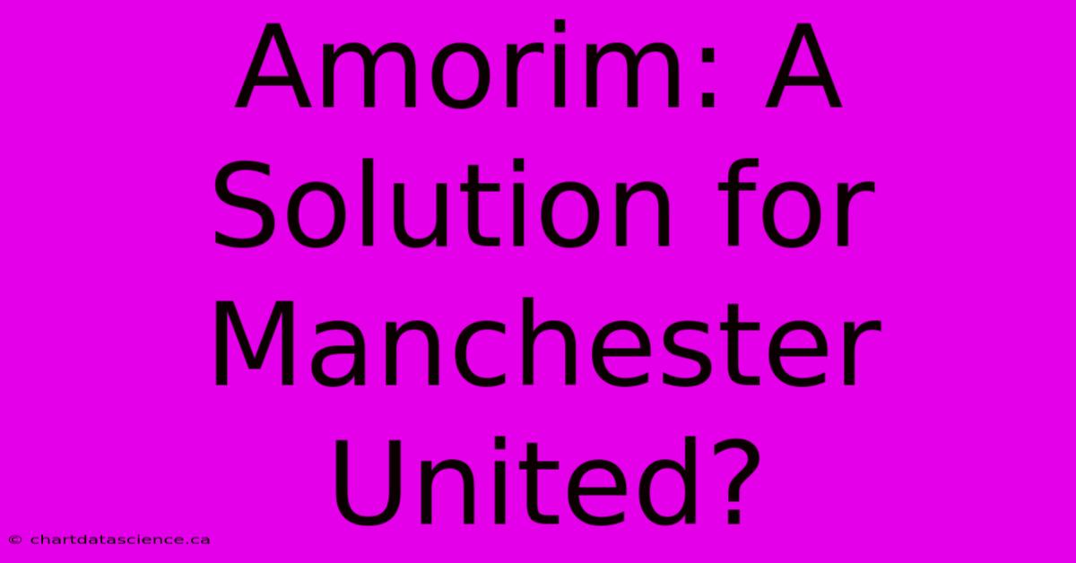 Amorim: A Solution For Manchester United?