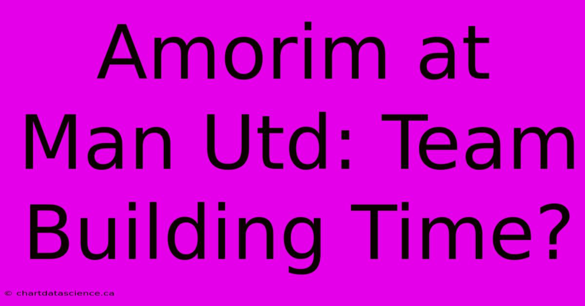 Amorim At Man Utd: Team Building Time?