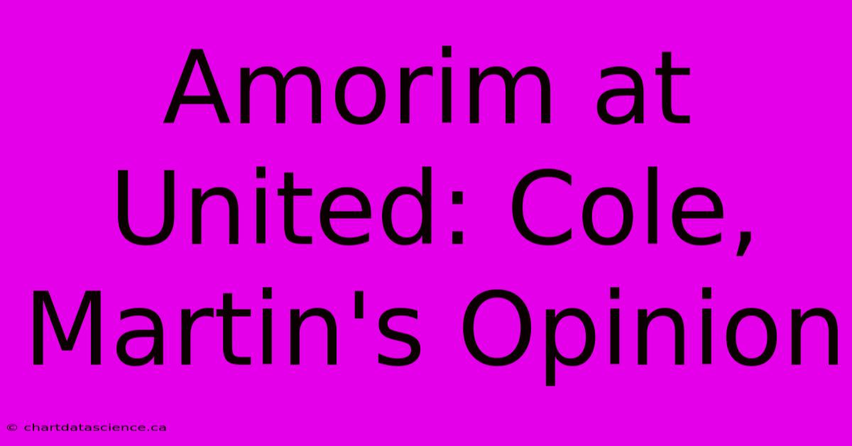 Amorim At United: Cole, Martin's Opinion