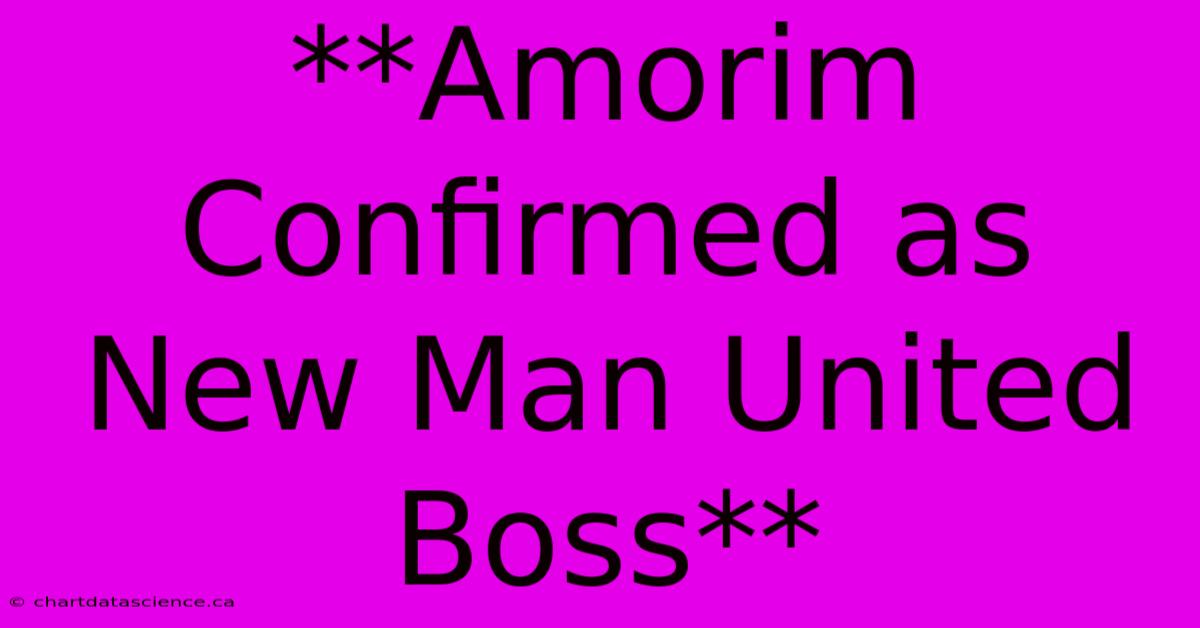 **Amorim Confirmed As New Man United Boss**