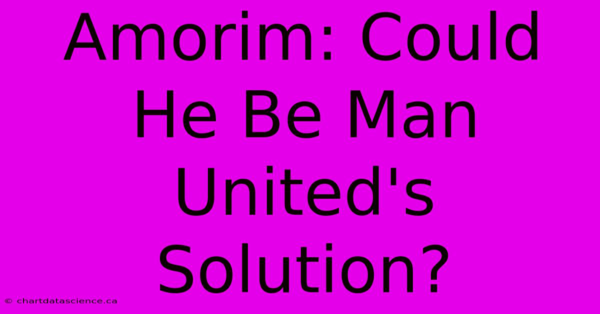 Amorim: Could He Be Man United's Solution?