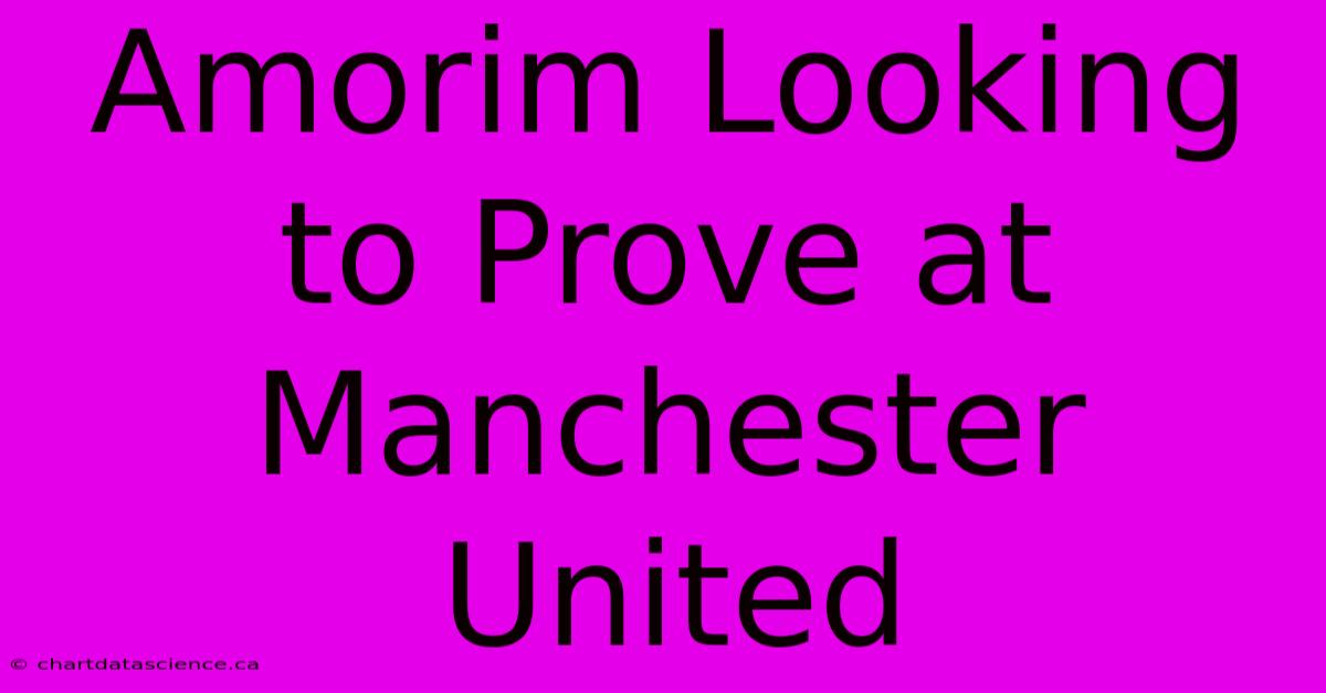 Amorim Looking To Prove At Manchester United