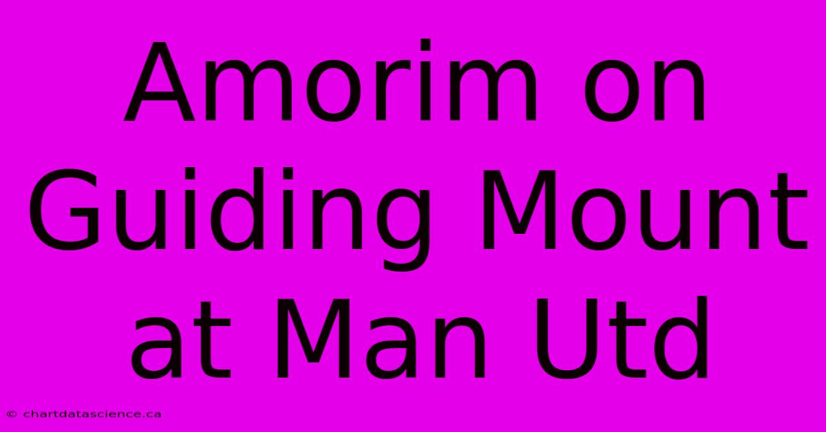 Amorim On Guiding Mount At Man Utd