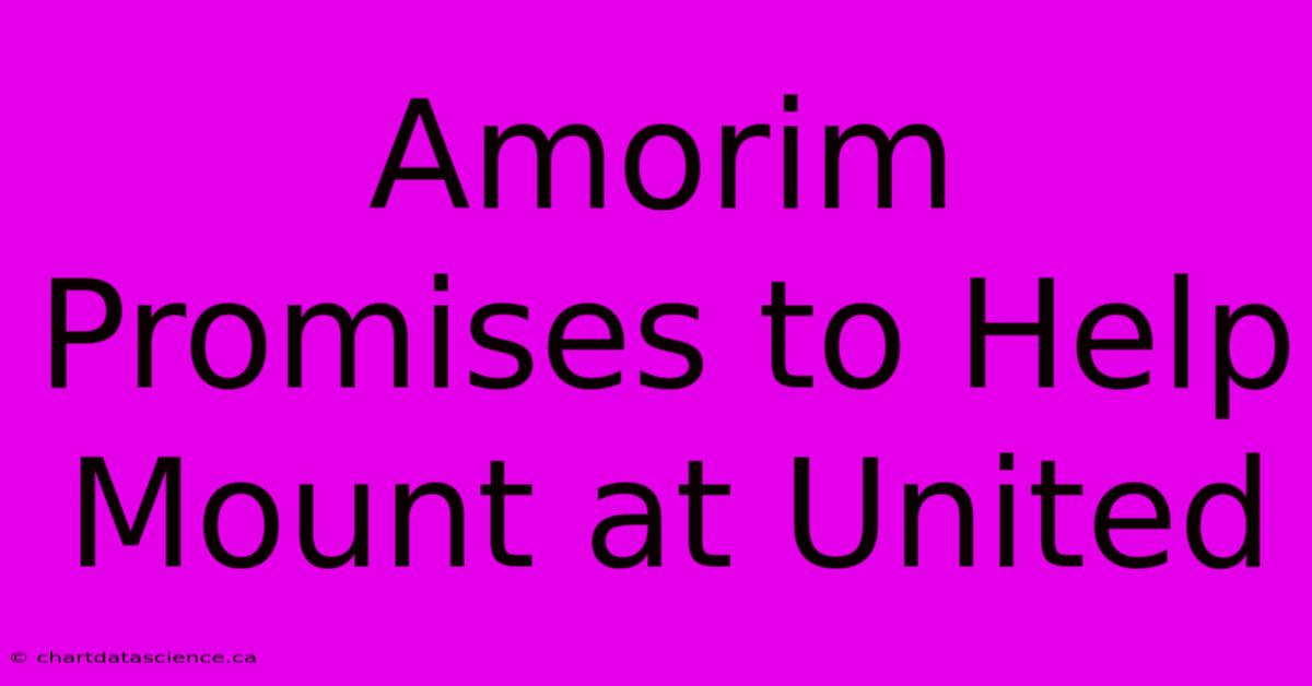 Amorim Promises To Help Mount At United