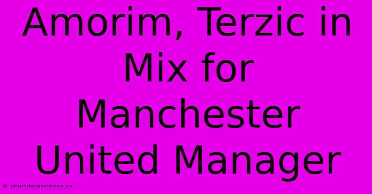 Amorim, Terzic In Mix For Manchester United Manager 