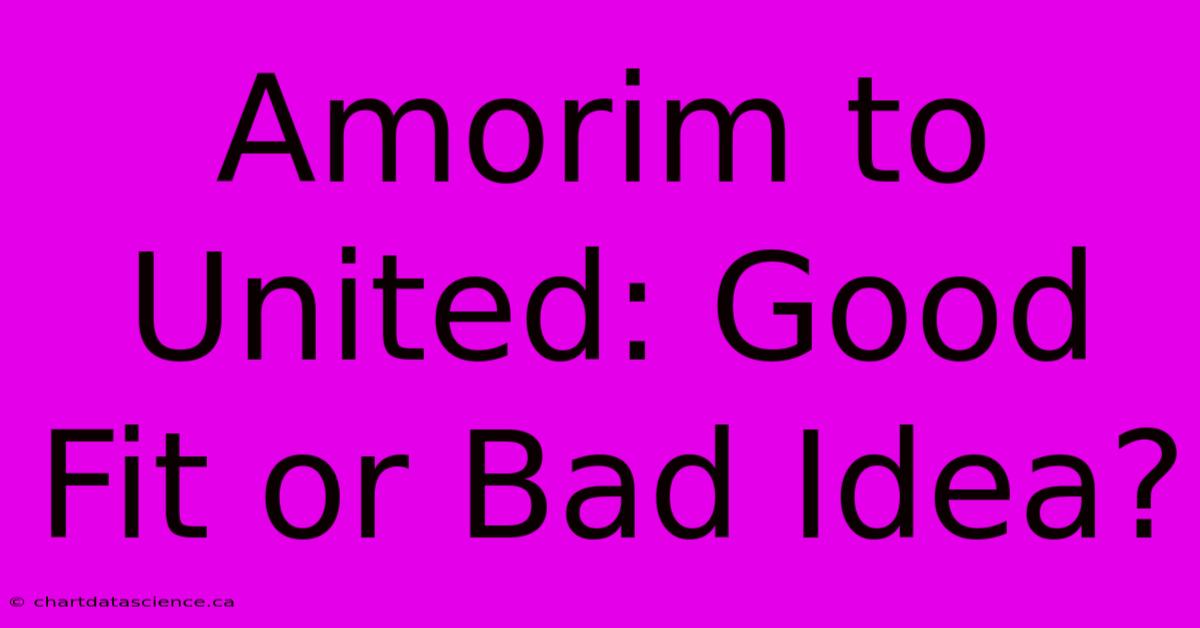 Amorim To United: Good Fit Or Bad Idea?