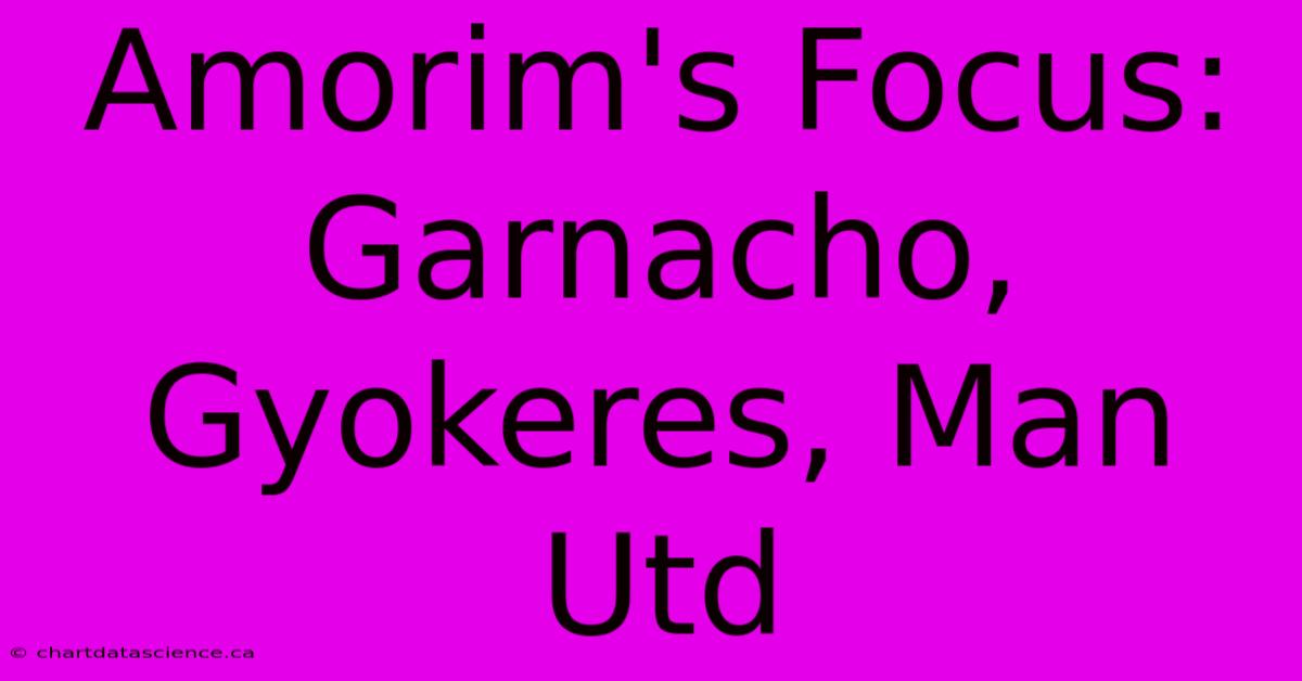 Amorim's Focus: Garnacho, Gyokeres, Man Utd