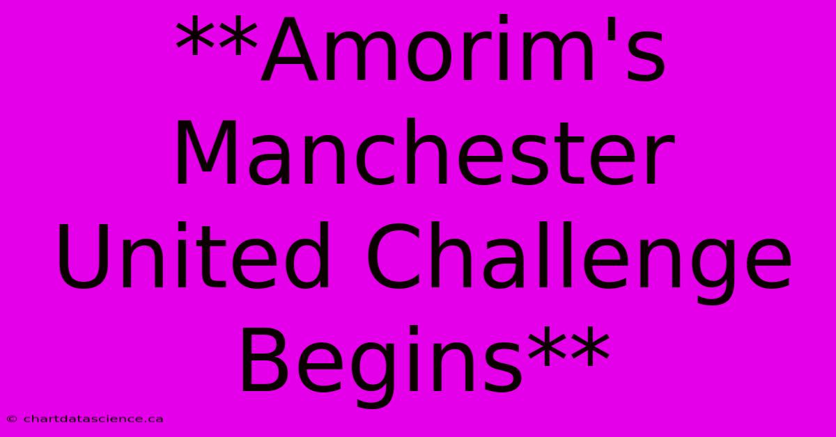 **Amorim's Manchester United Challenge Begins**